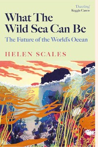 'What the New Sea Could Be' book cover